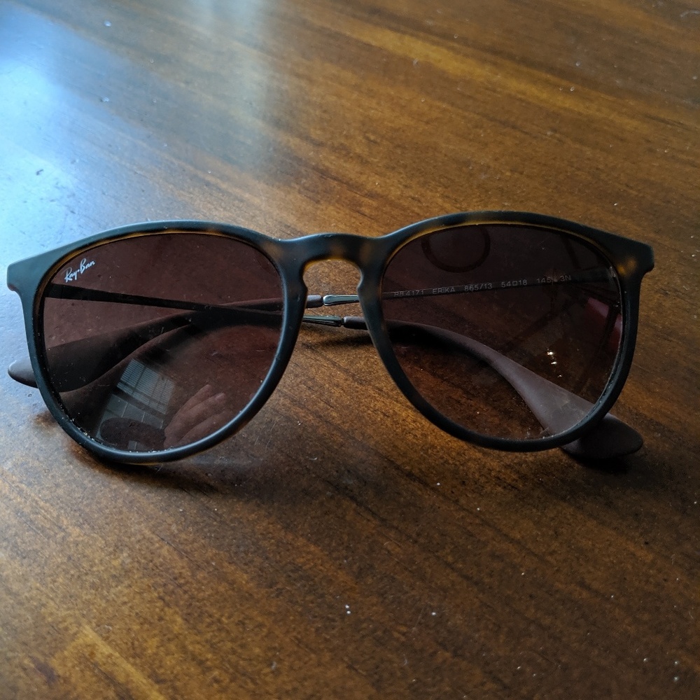 Ray-Ban Erika Sunglasses